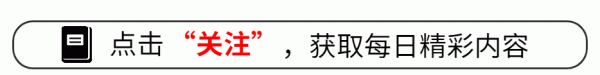 壹资网 气质不行别演杀手！扫毒风暴这两位一出手，告诉你啥叫杀人不眨眼