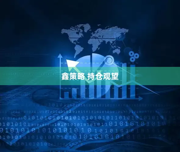 鑫策略 持仓观望