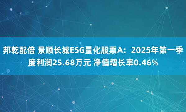 邦乾配倍 景顺长城ESG量化股票A：2025年第一季度利润25.68万元 净值增长率0.46%